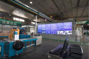 龍蟠科技 信息技術(shù)驅(qū)動下的創(chuàng)新與發(fā)展